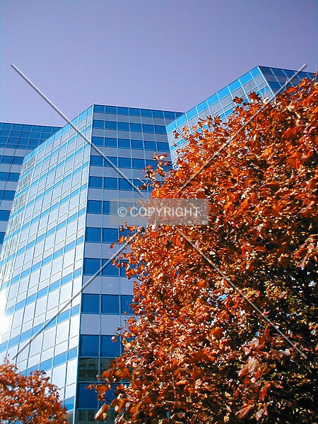 Photo 135-796-020