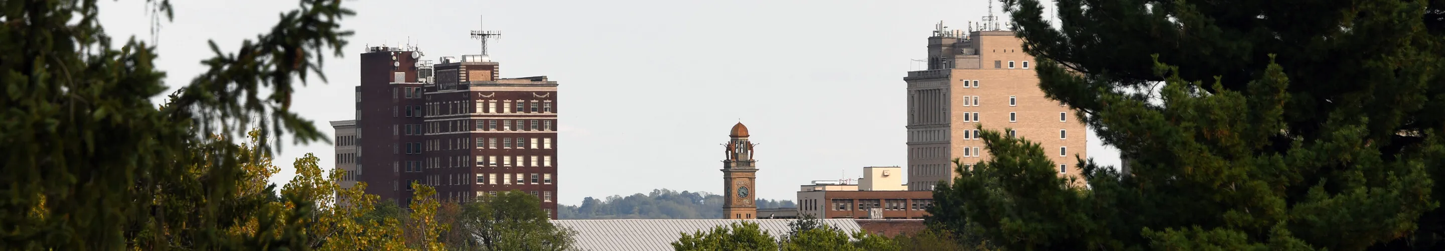 Panorama of Canton