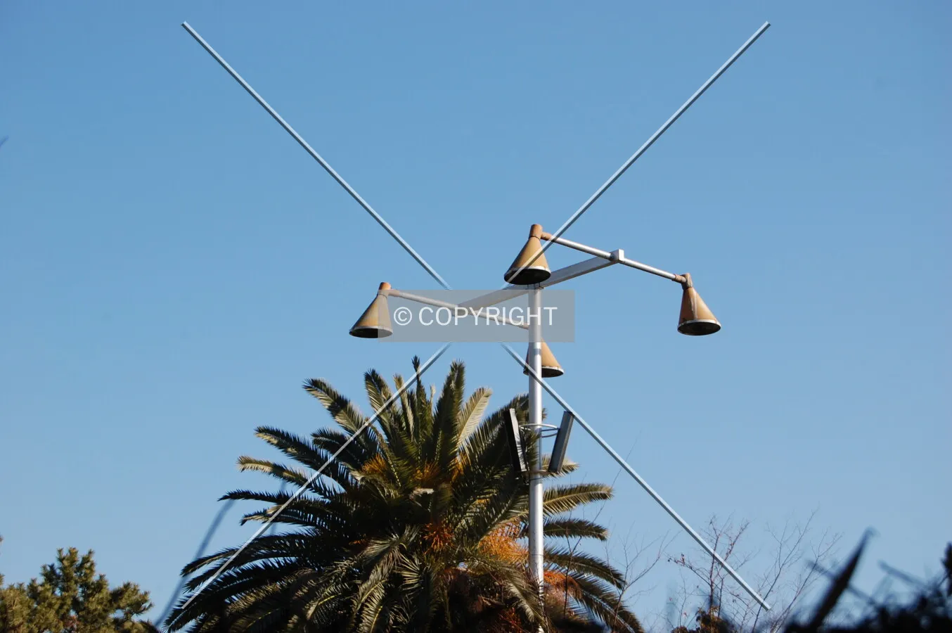 Photo 135-932-509
