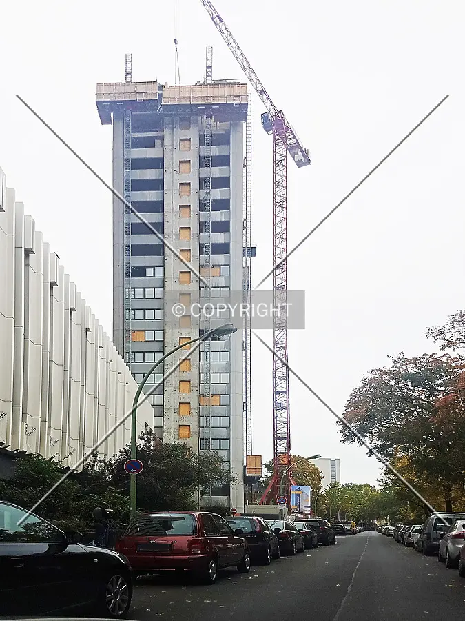 Photo 135-960-842