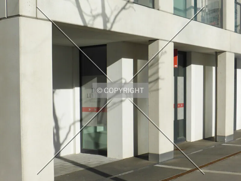 Photo 136-268-313