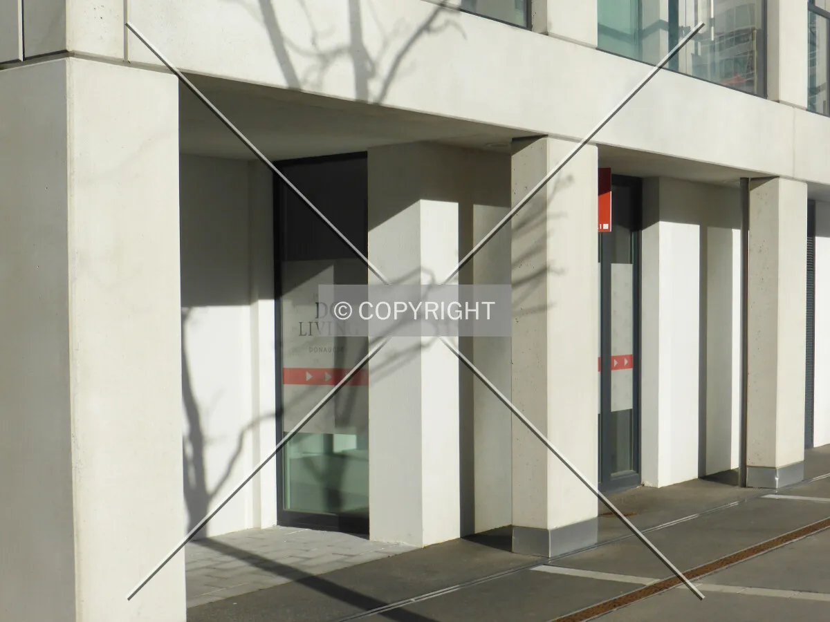 Photo 136-268-313