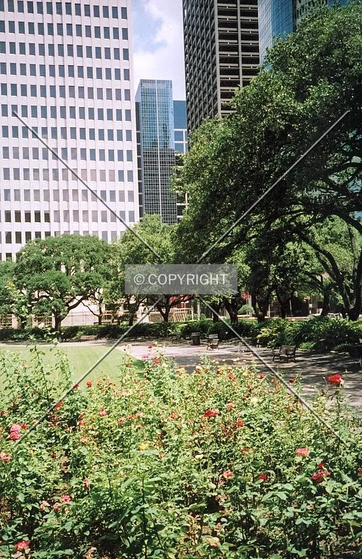 View from northwest from Sam Houston Park