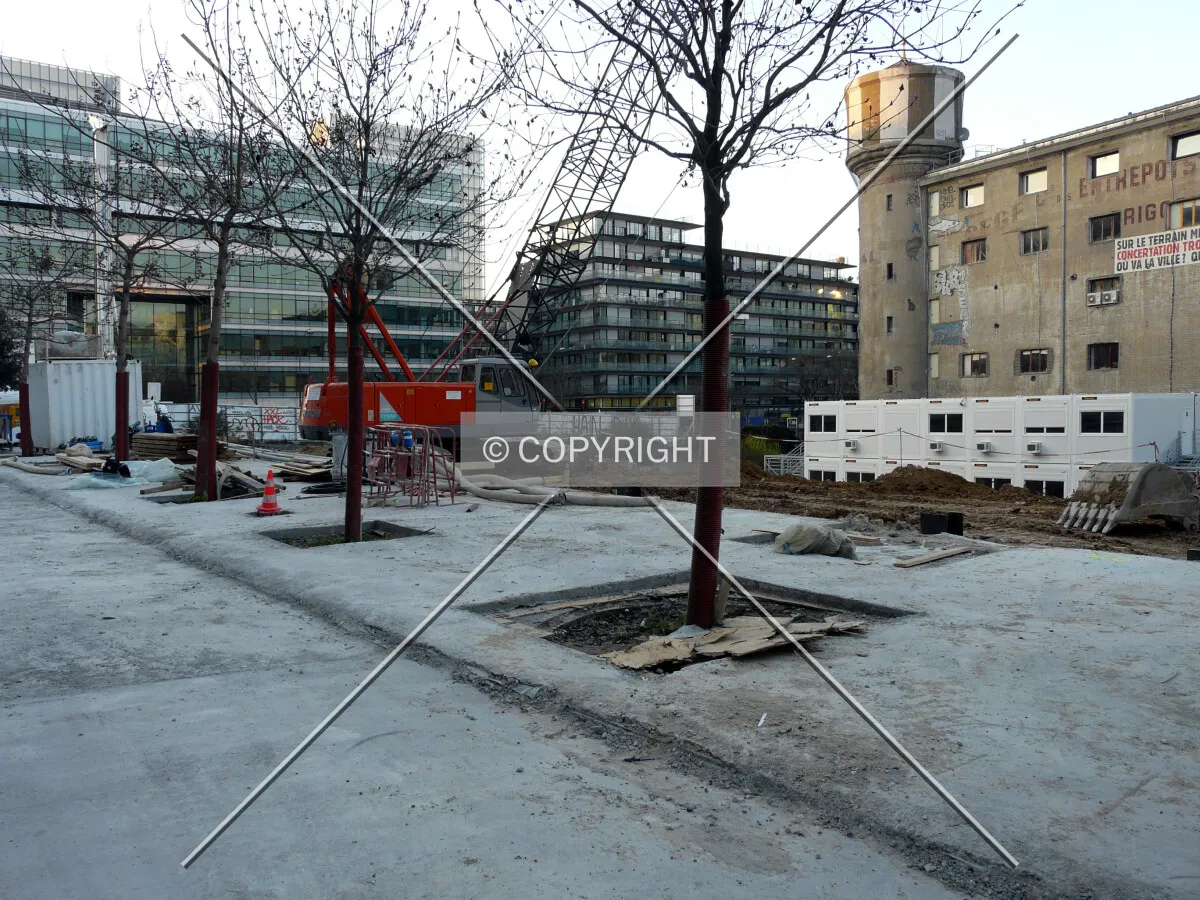 View from the south corner of the site