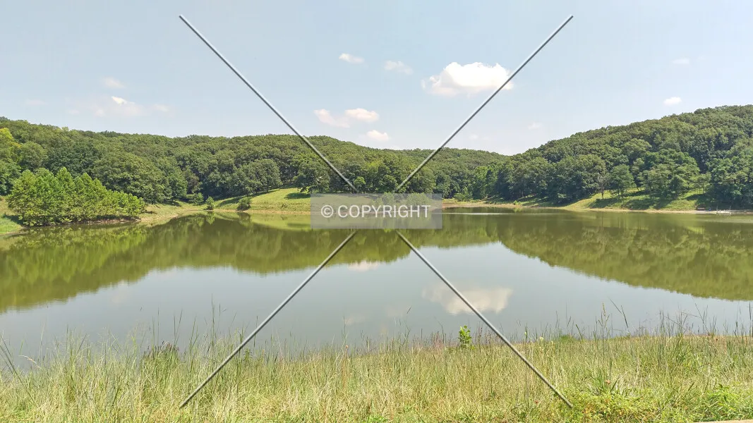 Photo 136-417-514