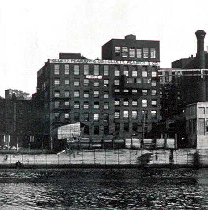 View from the northwest