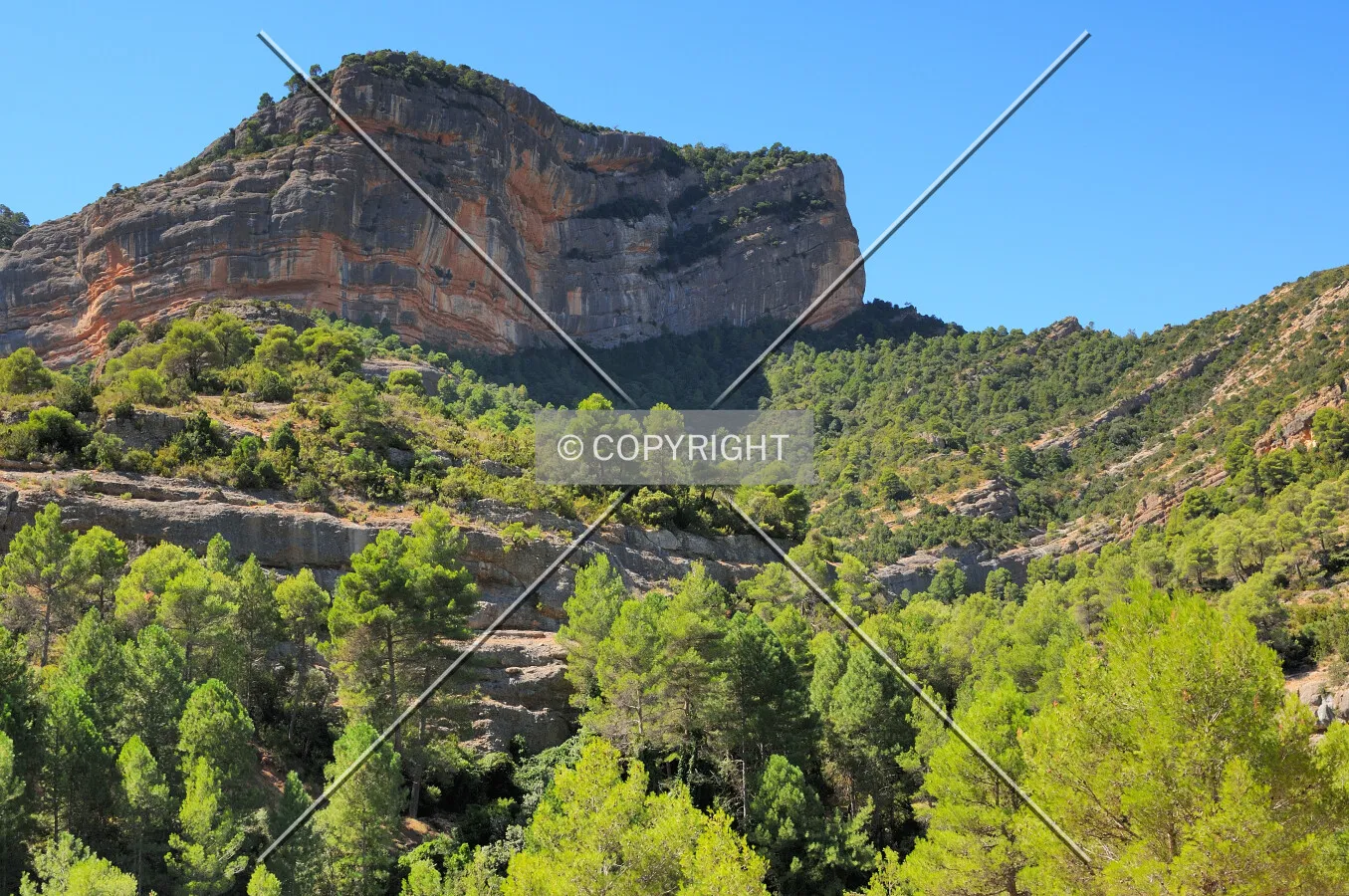 Mountains and the forest