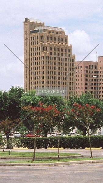 Photo 136-716-686