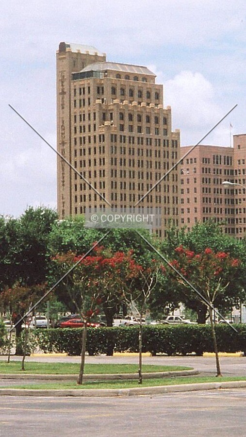 View from the southeast
