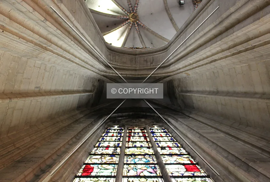Photo 136-801-361