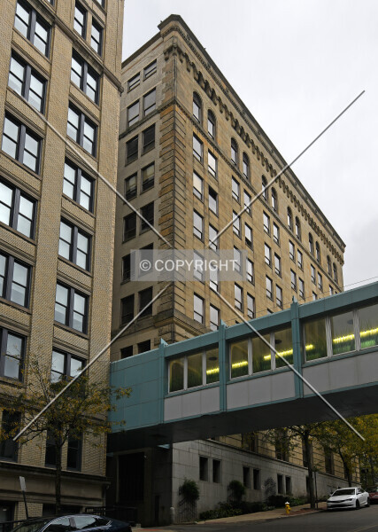 Photo 136-981-990