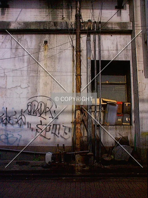 Photo 137-171-344