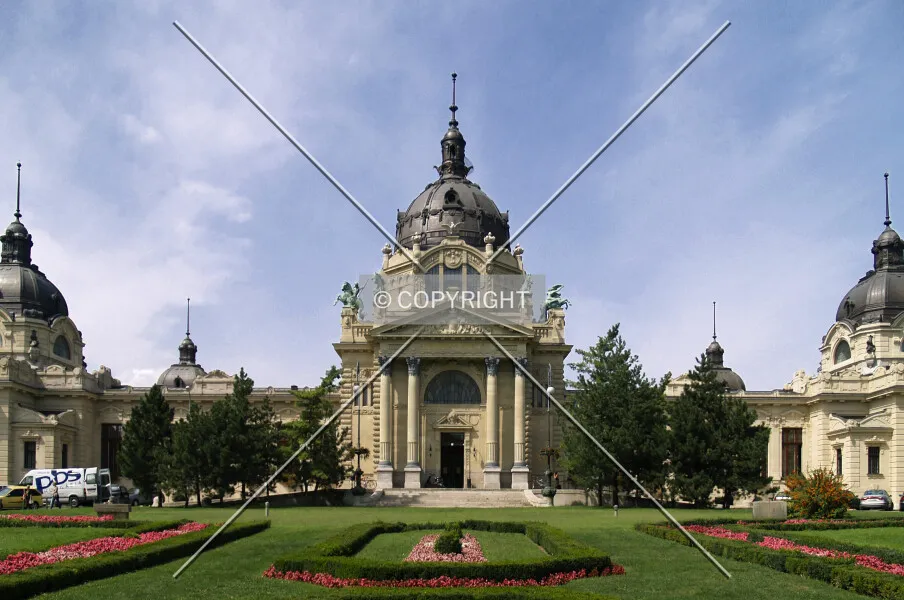 Photo 137-253-204