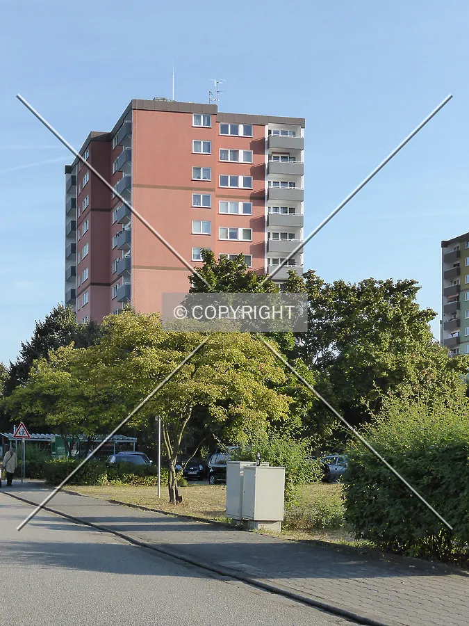 Photo 137-289-774