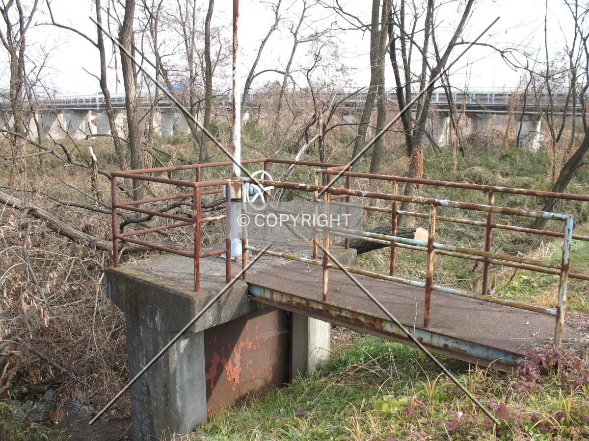 Photo 137-318-926