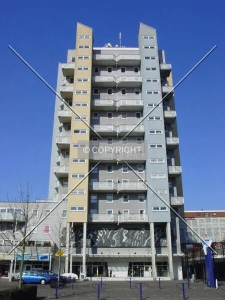 Photo 137-360-347