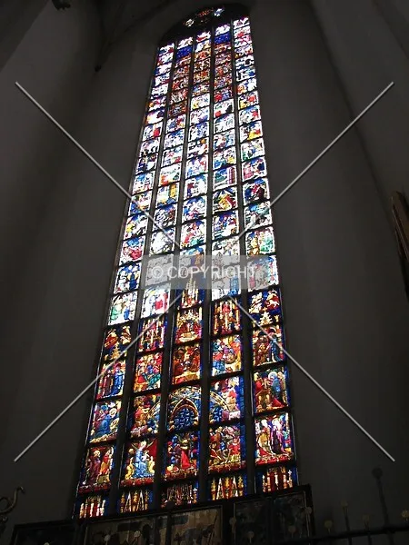 Photo 137-415-273