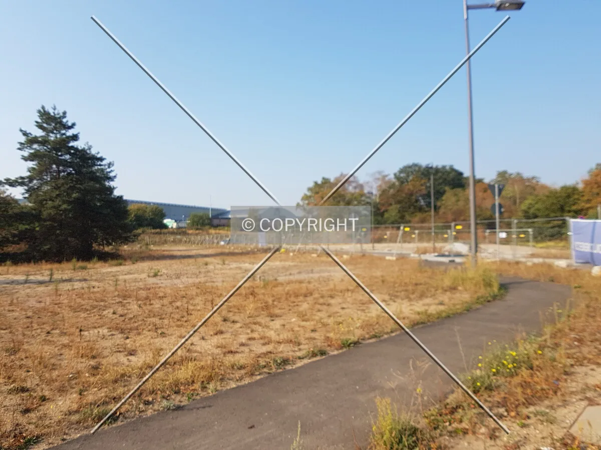 Photo 137-468-761