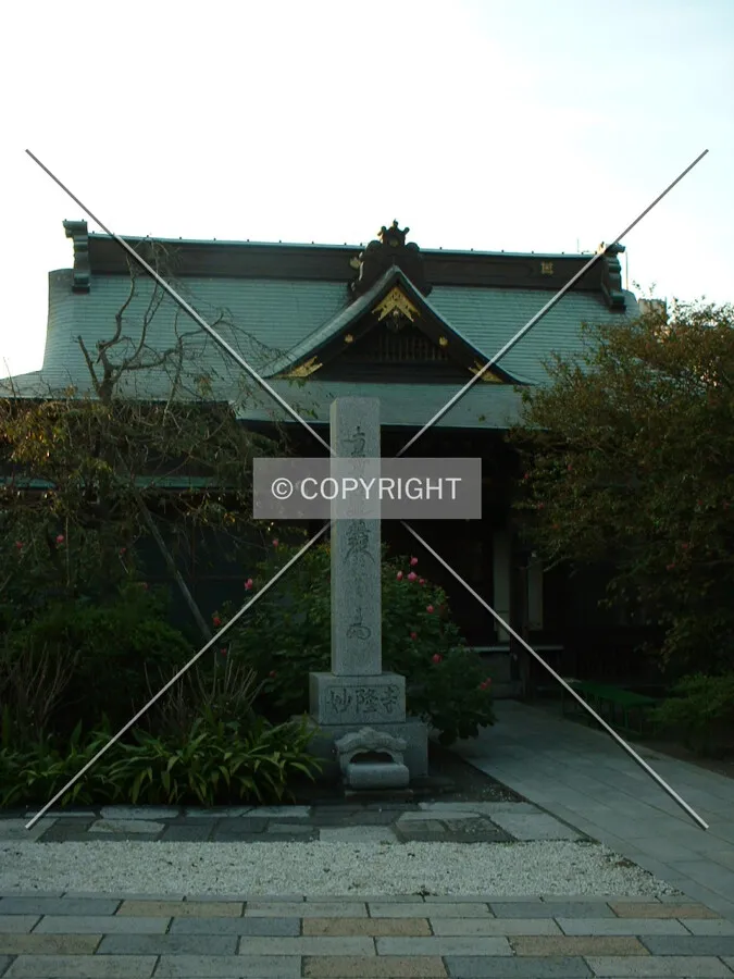 Photo 137-485-717