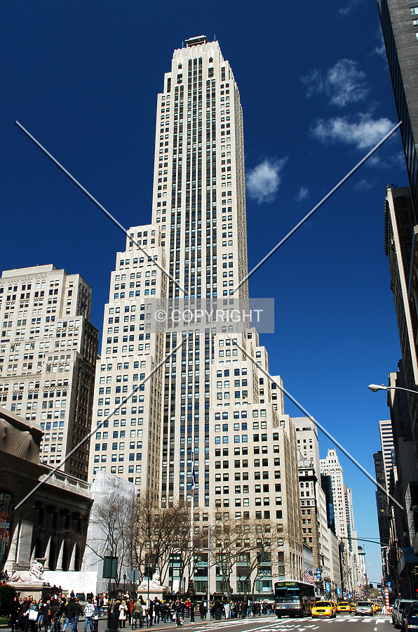 Looking northwards along 5th Avenue