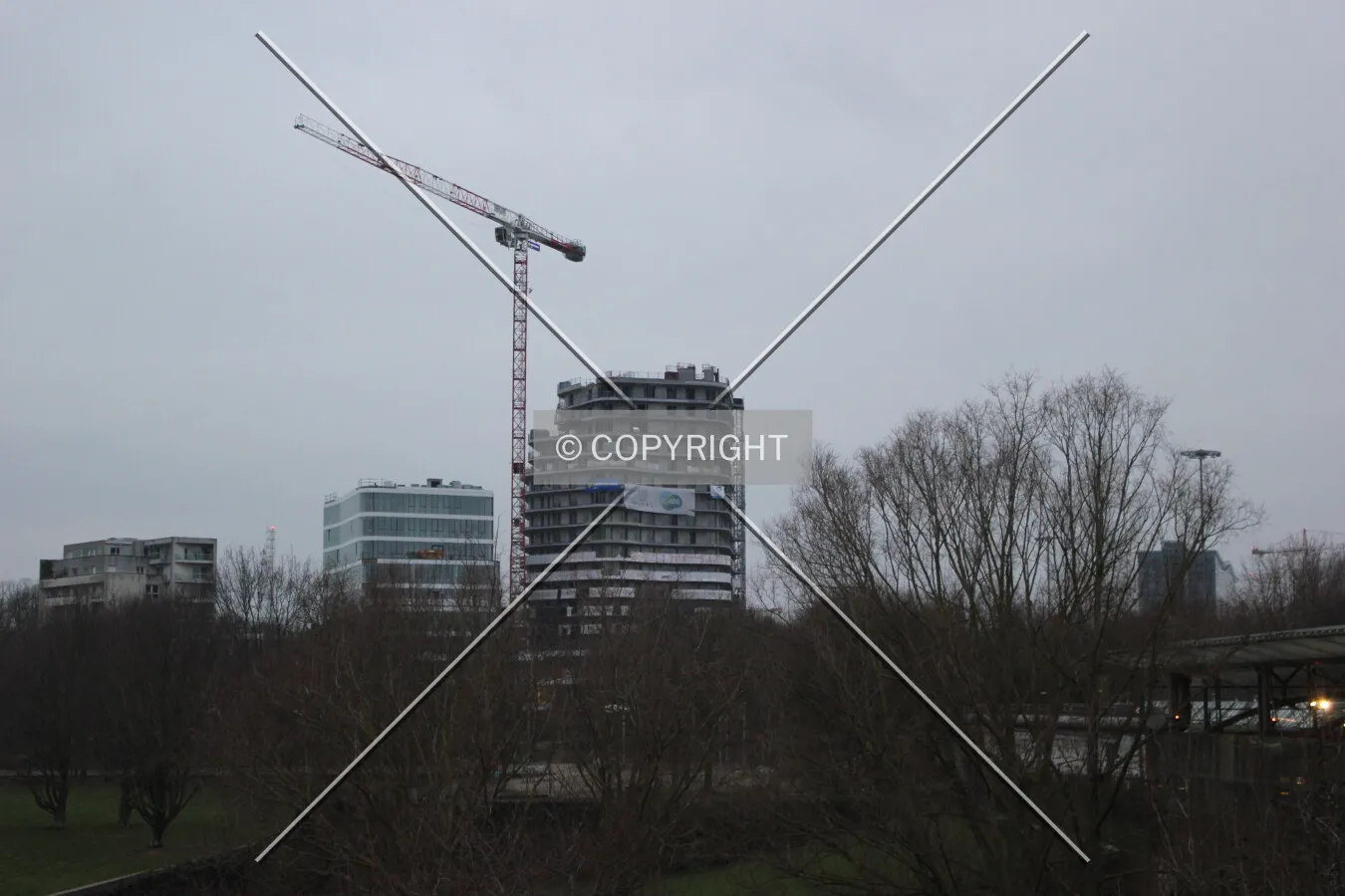 Photo 137-537-646