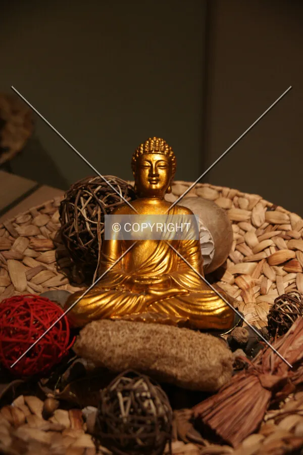 A buddha statue