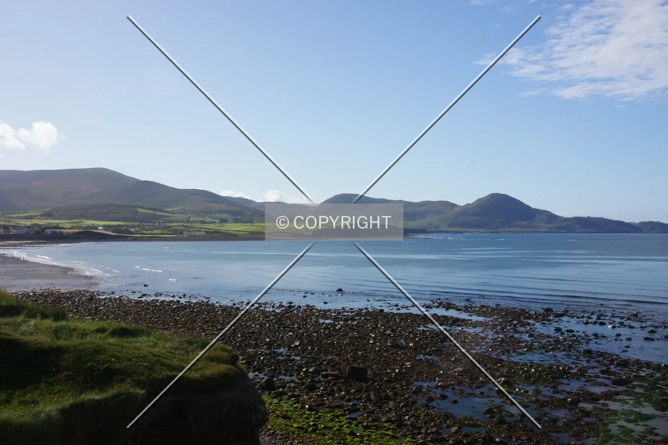 Photo 137-758-480
