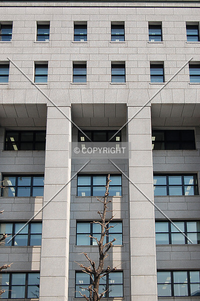 Photo 137-778-127