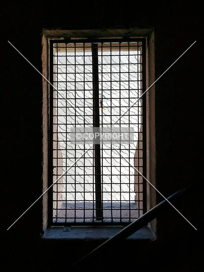 Photo 137-930-830