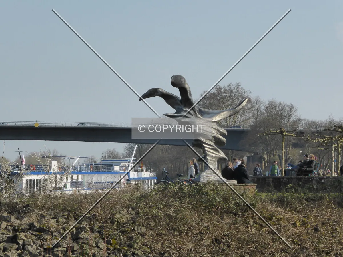 Photo 138-150-721