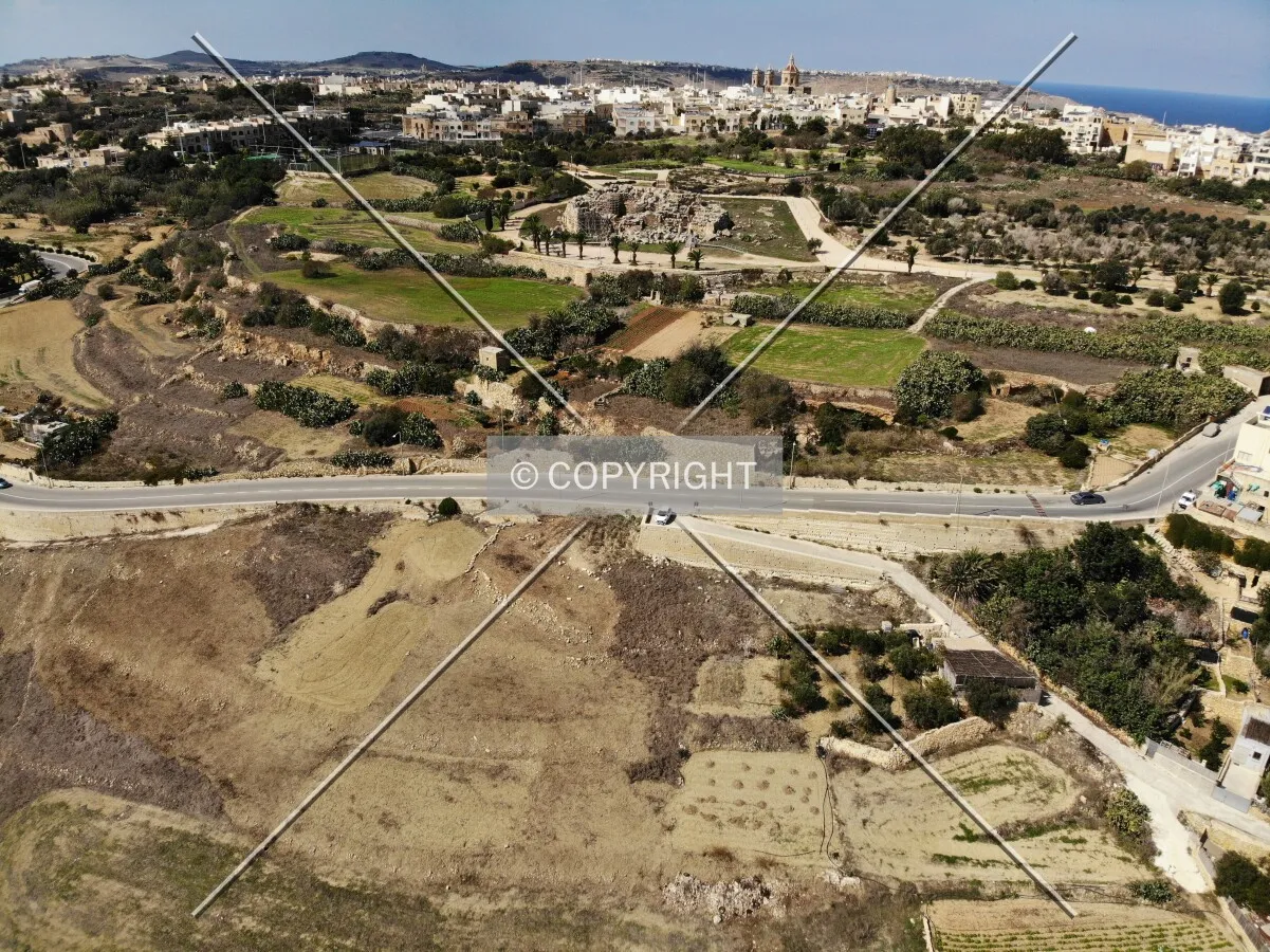Photo 138-164-646
