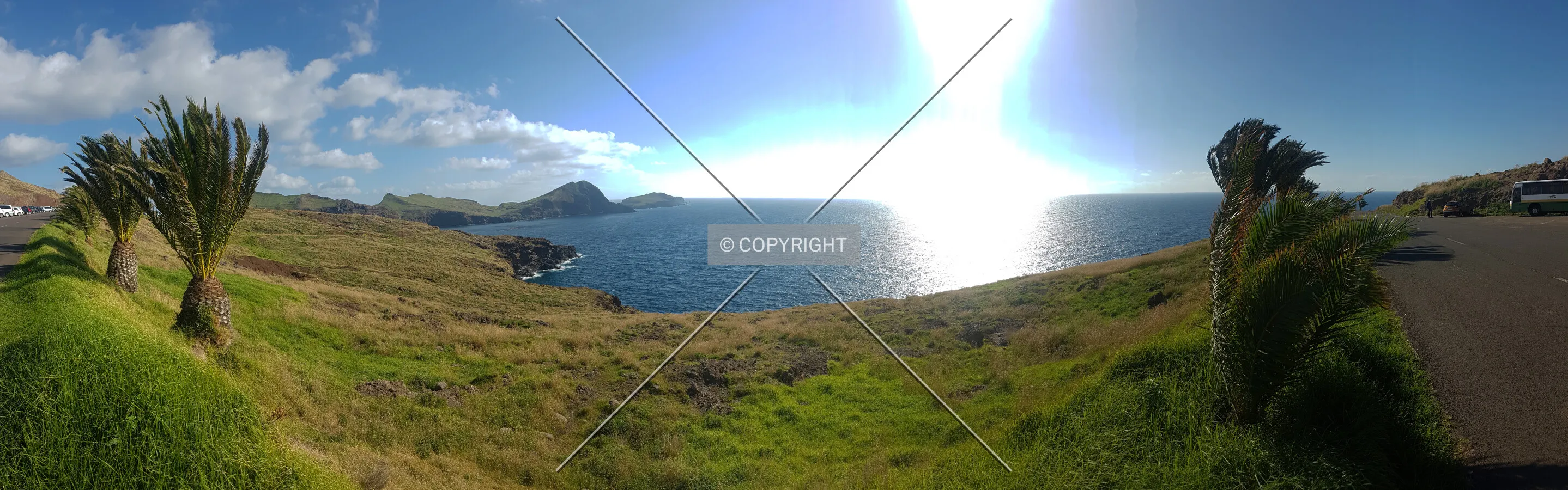 Photo 138-223-554