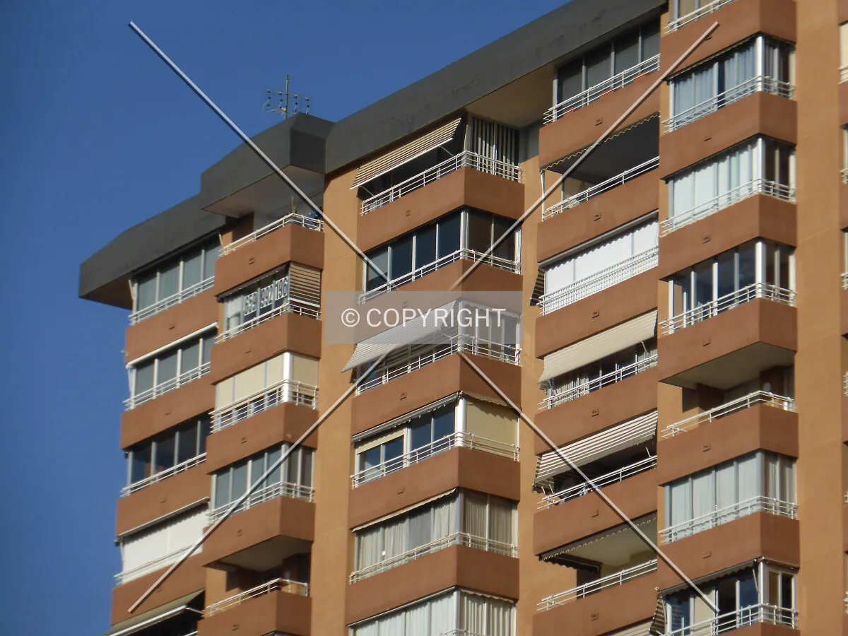 Photo 138-343-703