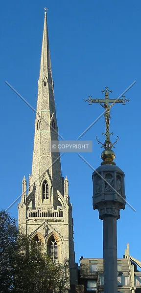 Photo 138-386-440