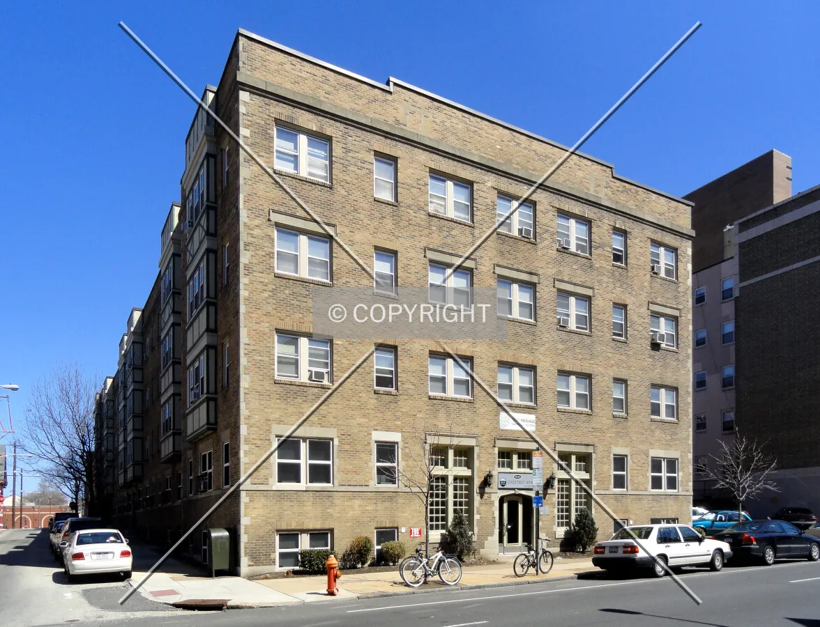 From across Chestnut Street to the south