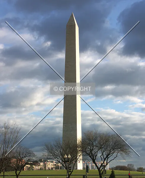 Photo 138-430-393