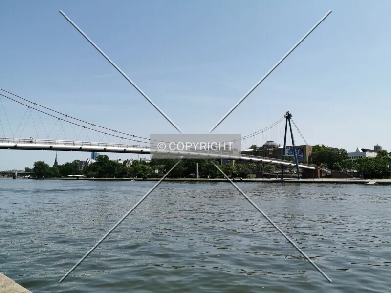Photo 138-561-313