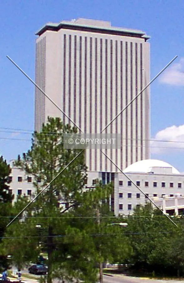 View from the south