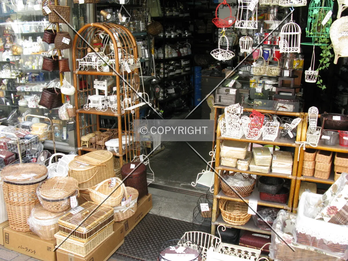 Photo 138-748-538