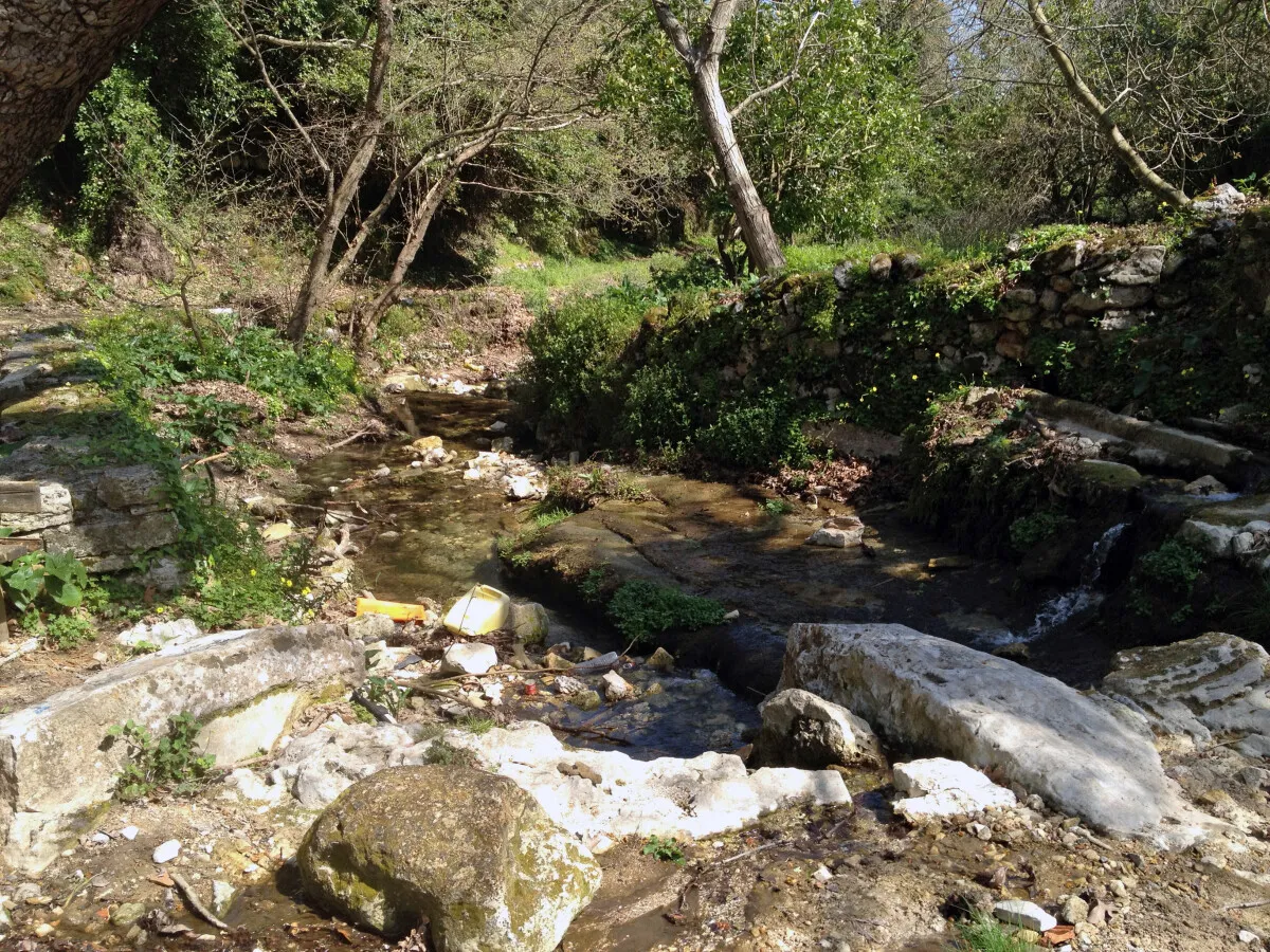Photo 139-043-956