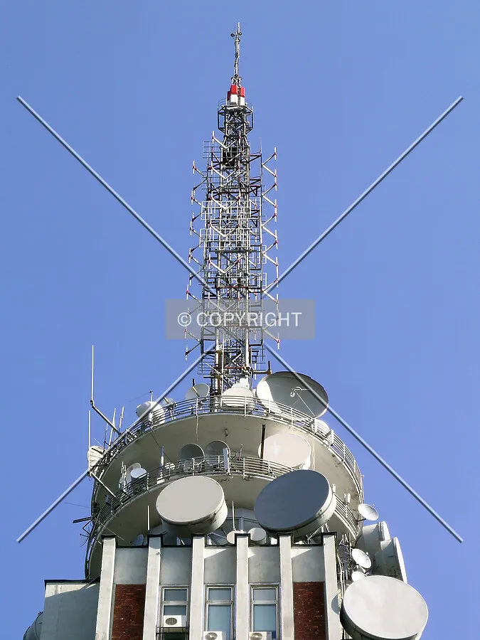 Photo 139-198-272