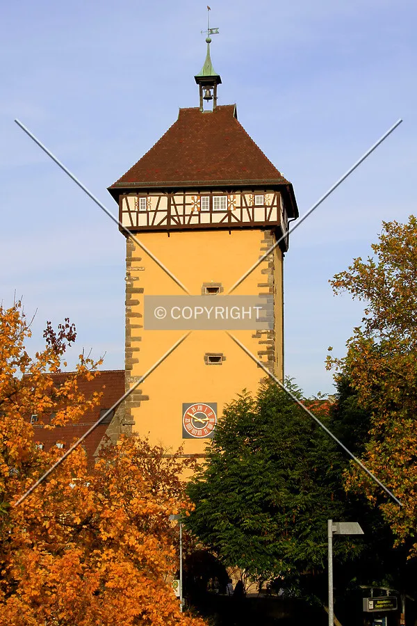 View from the southwest