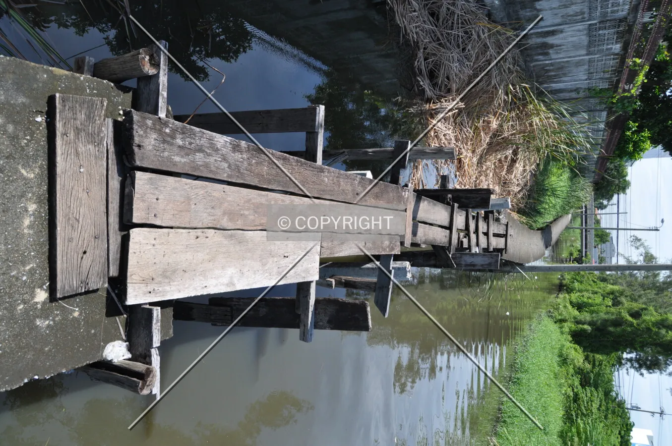 Photo 139-243-337