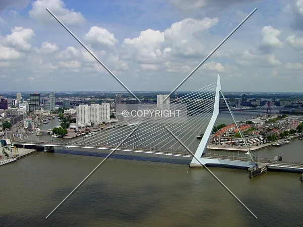 Erasmusbridge from World Port Center