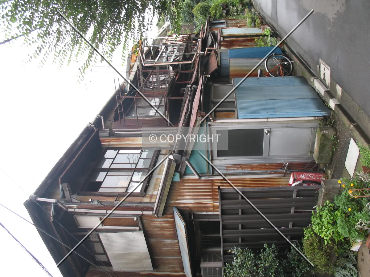 Photo 139-253-528