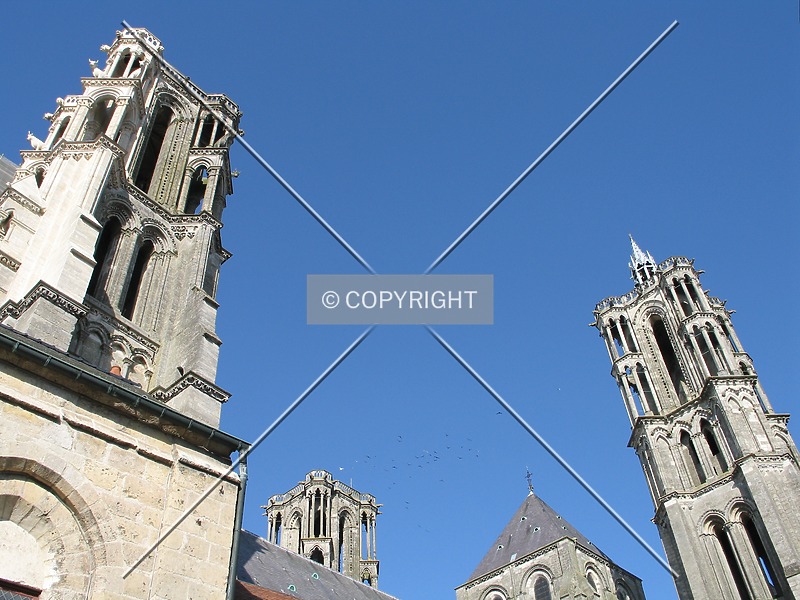 Photo 139-273-752