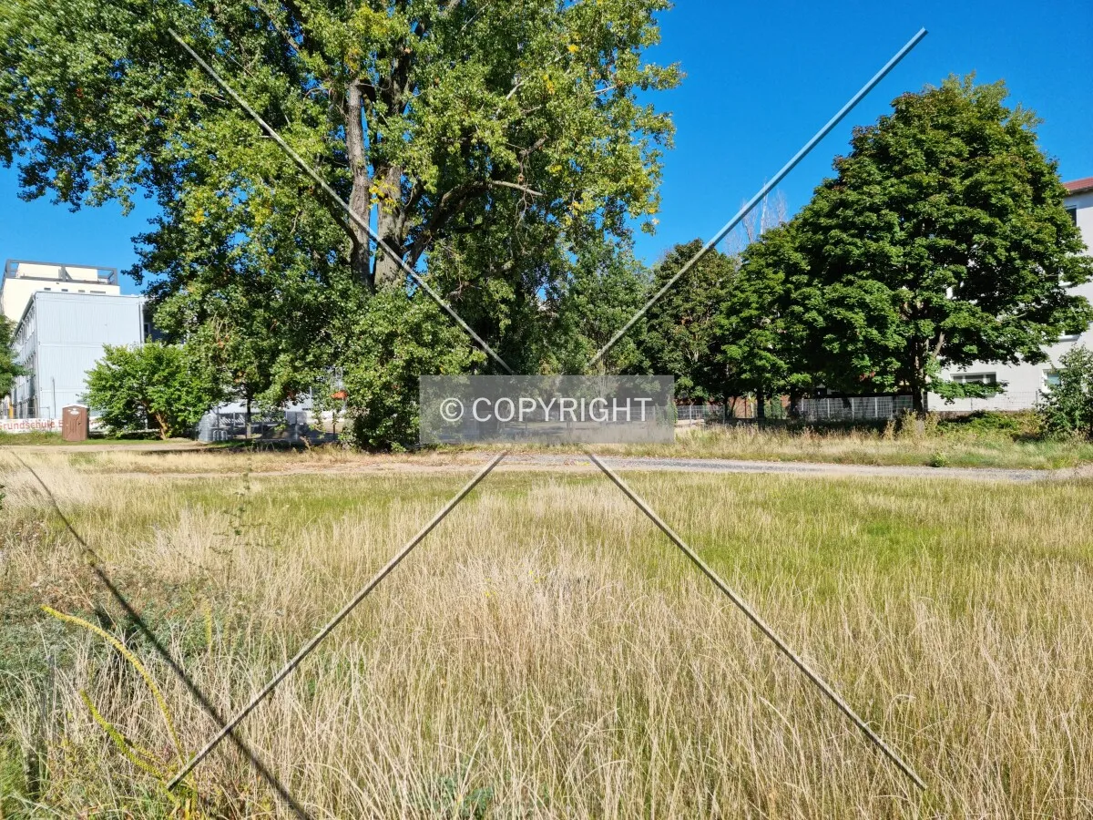 Photo 139-380-018
