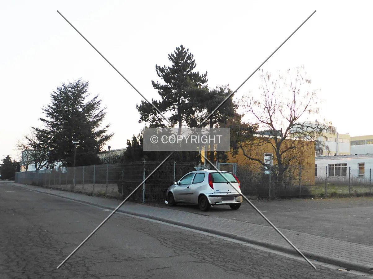 Photo 139-427-832