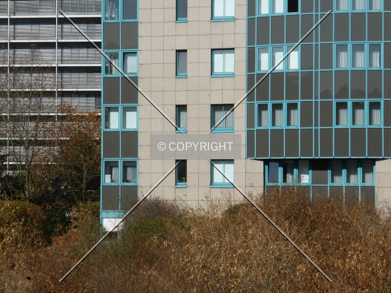Photo 139-530-212
