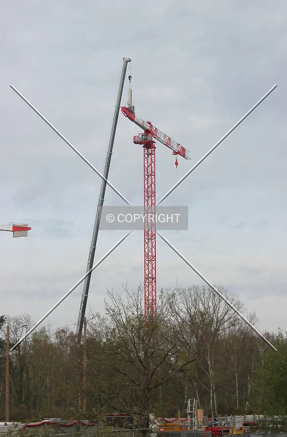 Photo 139-585-222